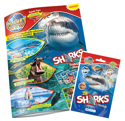 PLANET WOW – SHARKS