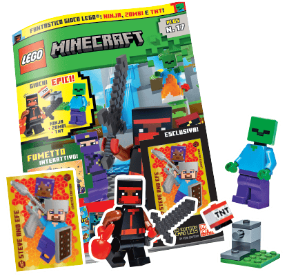 LEGO MINECRAFT PLUS N.17